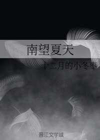 南望夏天
