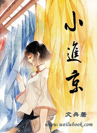 九京門之小進京