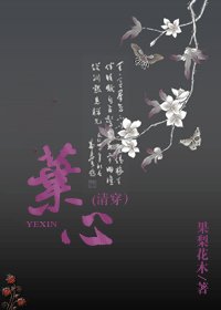 叶心（清穿）