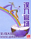 《誤入官場》