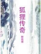 《狐狸傳奇》