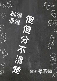 《机缘、孽缘,傻傻分不清楚》