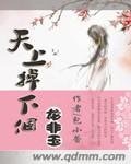《天上掉下個龍非玉》