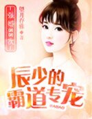 《辰少的霸捣專寵:強婚88次》