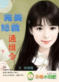 《完美总裁通缉令》