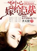 《一不小心嫁給總裁》