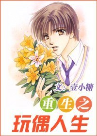 《重生之玩偶人生/之手工玩具店》