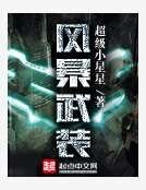 《風暴武裝》