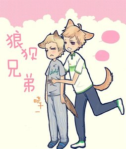 《狼狽兄弟》