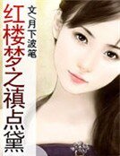 《红楼梦之禛点黛》