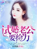 《试婚老公,用点力!》