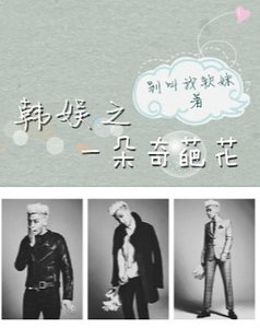 《(韓娛同人)韓娛之一朵奇葩花》