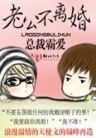 總裁老公不離婚