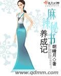 麻辣秘書養成記