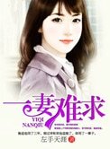 一妻難求（作者：左手天涯）