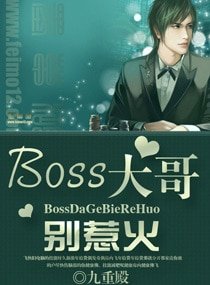 Boss大哥，别惹火