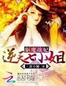 《驱魔战妃:逆天七小姐》
