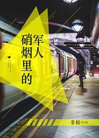 《硝煙裡的軍人》
