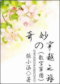 《(數字軍團/綜影視同人)奇妙的穿越之旅》