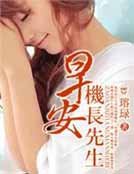 早安，機長先生