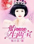 《好孕鮮妻,一胎生兩寶》