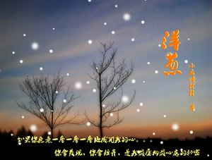 《洋葱(修改版)》