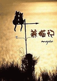 《养猫记》