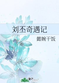 《劉丕奇遇記》