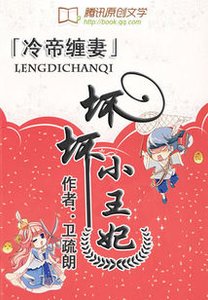 《废材倾城:坏坏小王妃》