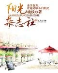 《阳光杂志社》