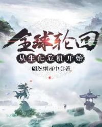 《全球輪迴從生化危機開始》