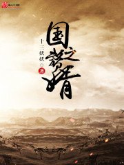 《國之贅婿》