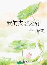 我的夫君超好