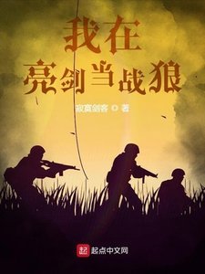 《我在亮劍當戰狼》
