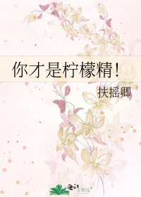《你才是柠檬精!》