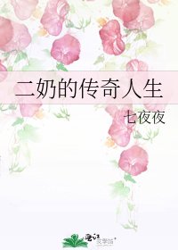 《二奶的傳奇人生》