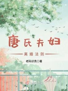 《唐氏夫妇离婚法则》
