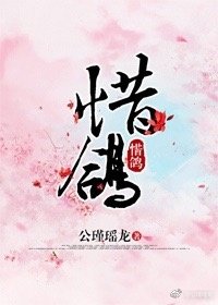 《惜鴿》