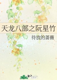 《天龍八部之阮星竹》