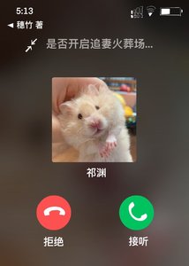 《虐文霸總穿成女主的倉鼠後》