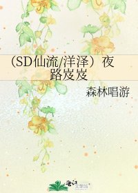 《(SD仙流/洋澤)夜路岌岌》