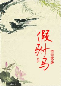 假駙馬