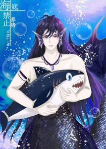 《海底禁止養豬》