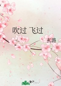 《吹過 飛過》