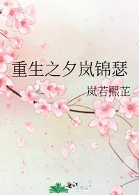 重生之夕嵐錦瑟