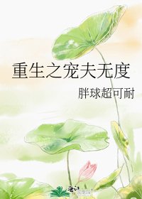 《重生之寵夫無度》