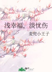 《淺幸福,淡憂傷》