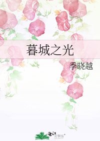 《暮城之光》