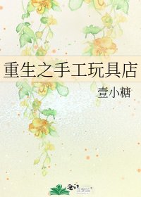 《重生之手工玩具店》