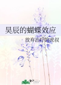 《昊辰的蝴蝶效應》